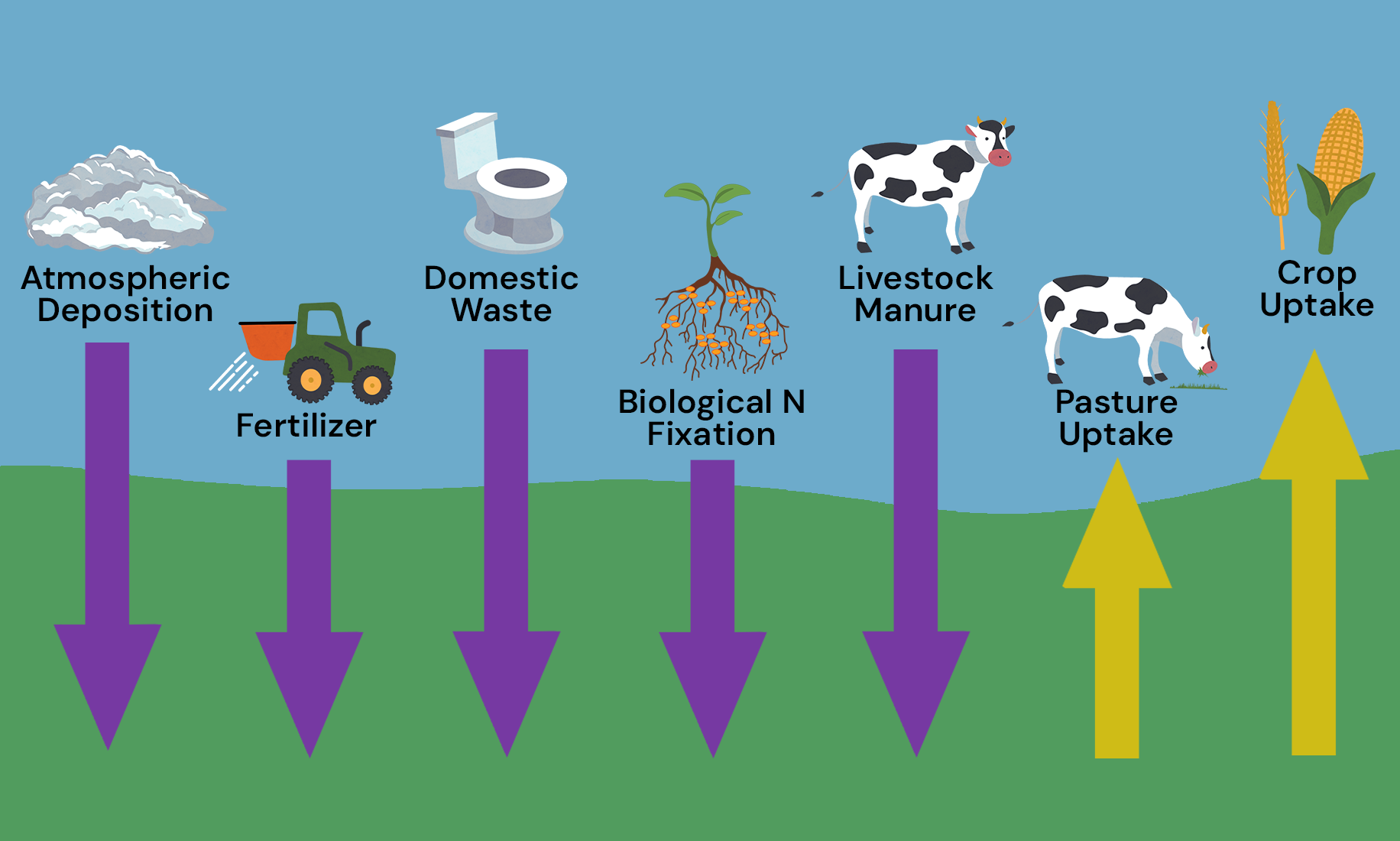 Model outputs illustration