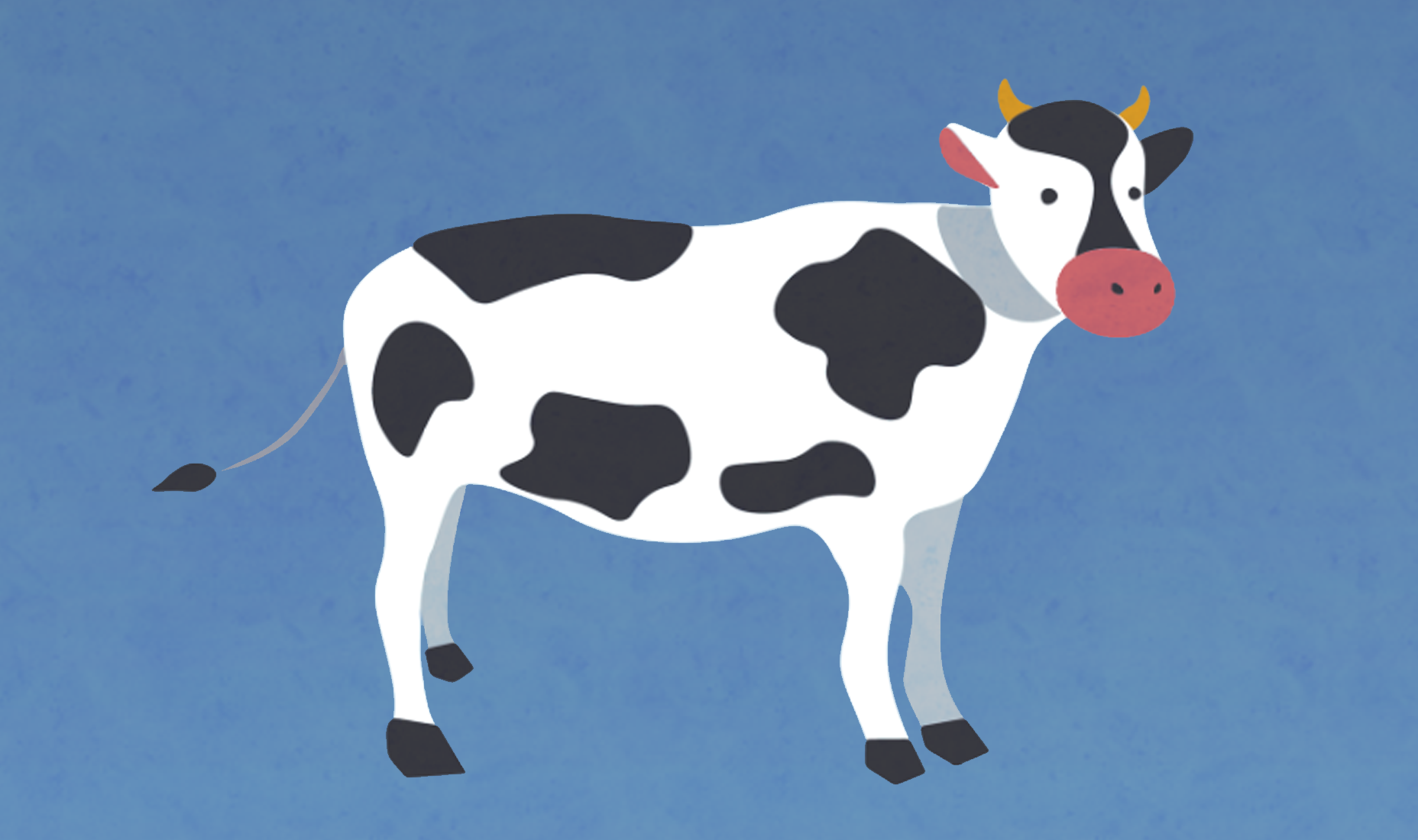 Cow representing manure source